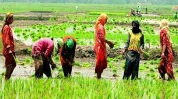 Two Farm Reform Bills passed in Rajya Sabha amid Oppositions ruckus