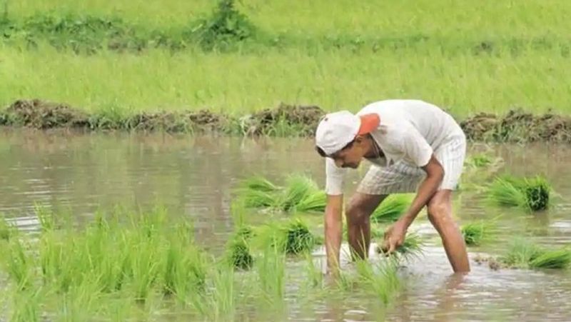 2022 तक आय दोगुनी करने का लक्ष्य
मोदी सरकार ने 2022 तक किसानों की आय दोगुनी करने का लक्ष्य रखा है। सरकार चाहती है कि इस योजना के तहत ज्यादा से ज्यादा किसानों को उनके अकाउंट में डायरेक्ट पैसे ट्रांसफर कर उनकी आय बढ़ाई जाए।
(फाइल फोटो)