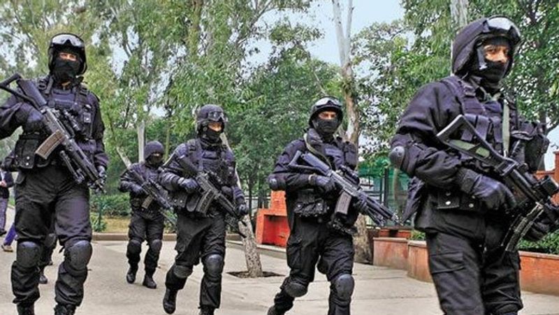 All about Special Frontier Force The secretive Indian unit in news after Ladakh clash BSS