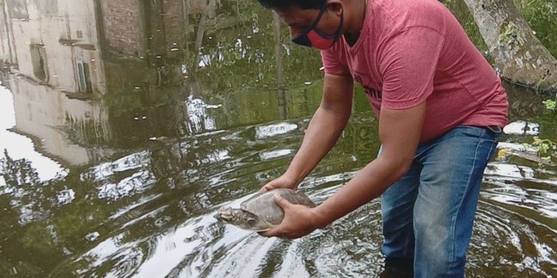 Man rescues a tortoise from open market in Howrah BTG