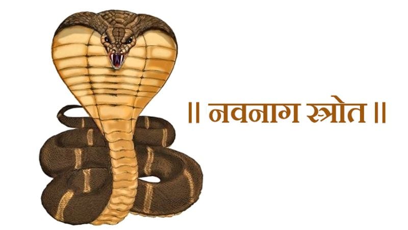 4. सर्वपितृ अमावस्या पर विधि-विधान से नवनाग स्त्रोत का पाठ करें या किसी योग्य पंडित से करवाएं।
