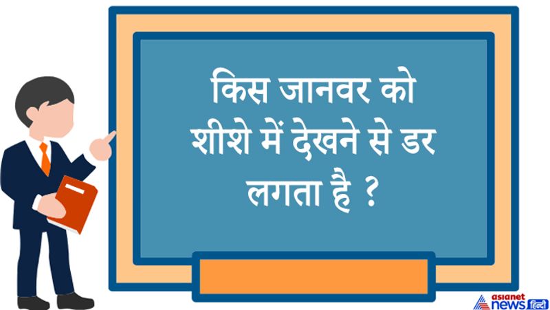 जवाब: सुअर