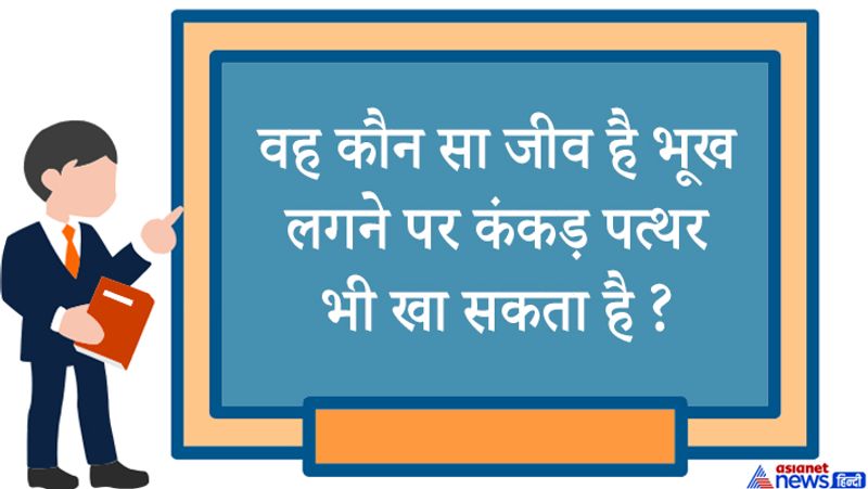 सवाल.भूख लगने पर कौन सा जानवर कंकड़-पत्थर भी खा सकता है?
जवाब: शुतुररमुर्ग