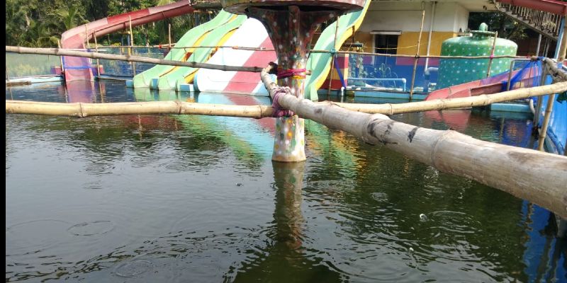 Workers starts fishary in a water park in Durgapur BTG