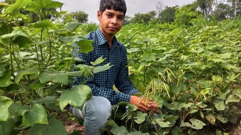 नारायण के पिता का इनके जन्म से पहले ही हार्ट अटैक से निधन हो गया था। इनकी परवरिश मां सीतादेवी ने अकेले की। इनकी दो जुड़वां बहने हैं।