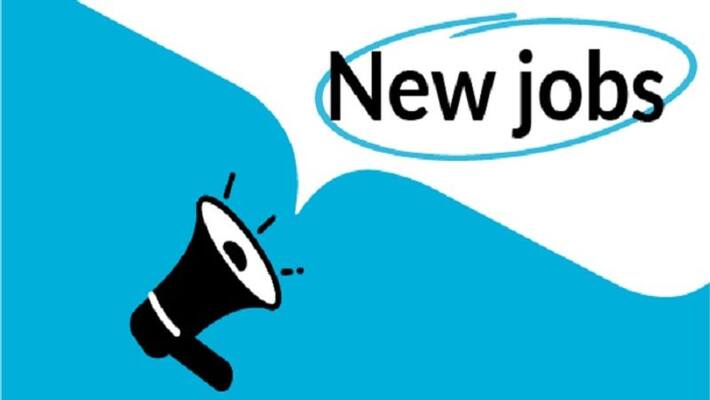 aiims delhi recruitments on various posts aiims job aiims vacancy sarkari naukari kpt aiims delhi recruitments on various posts aiims job aiims vacancy sarkari naukari kpt