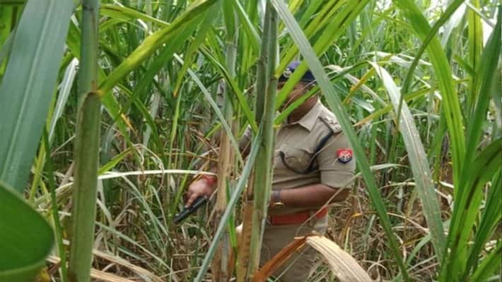 3-year-old girl was rape and murdered later the accused was arrested in the police encounter kpl 3-year-old girl was rape and murdered later the accused was arrested in the police encounter kpl