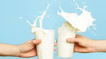 Cow milk vs. buffalo milk: Which is healthier ram