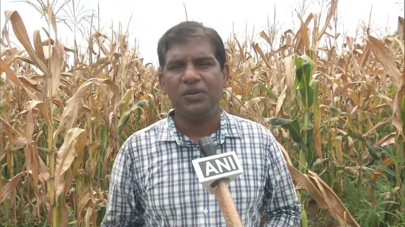Man Shuns USD 100000 Job In USA To To Start Farming In India BSS