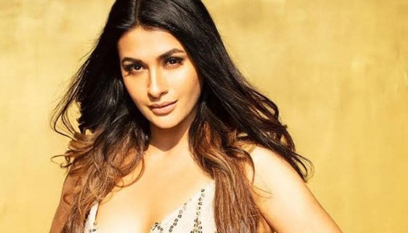 Here what happened when Eijaz Khan met Pavitra Punia's parents; mother was worried because of his religion RCB