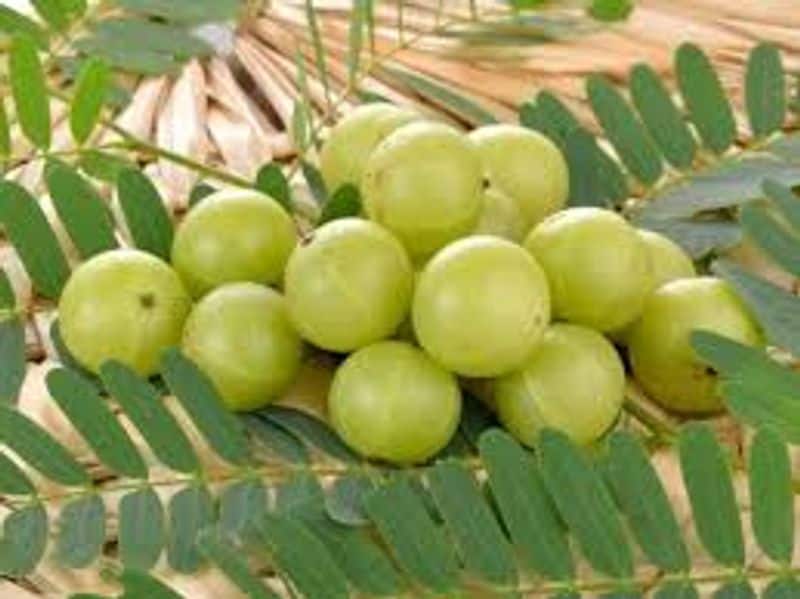 Health benefits of eating amla full details are here