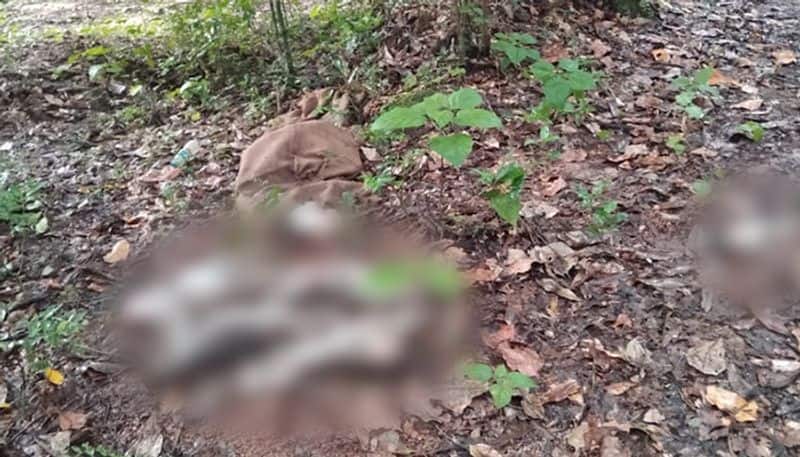 Karnataka 2 bags filled with dead monkeys found in Udupi -ymn