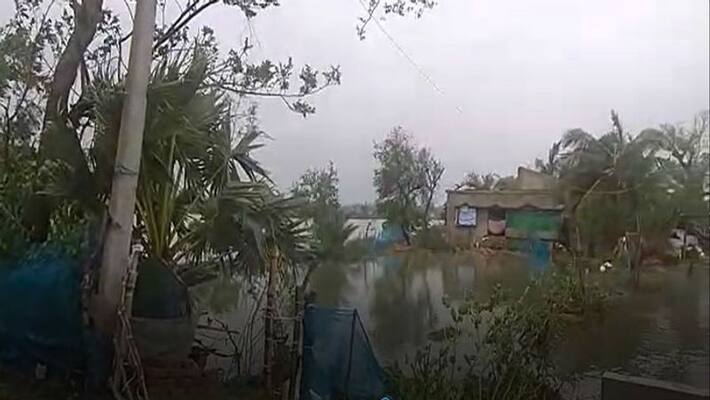 River dam collapsed due to river waterflow at Sundarban ASB River dam collapsed due to river waterflow at Sundarban ASB