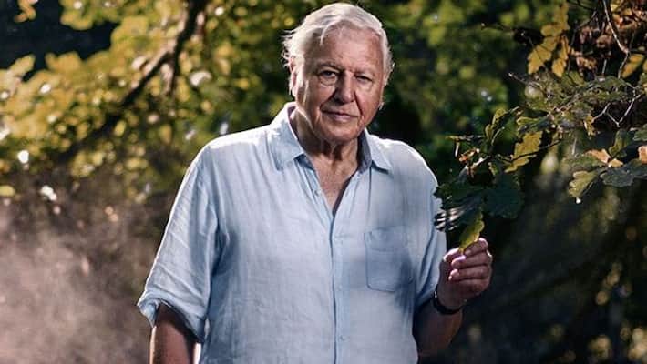 David Attenborough received Indira Gandhi Peace Prize kpn David Attenborough received Indira Gandhi Peace Prize kpn
