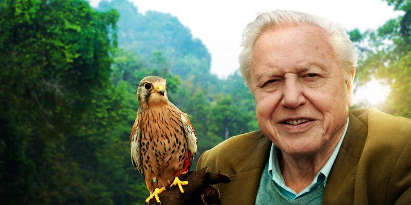 David Attenborough Awarded Indira Gandhi Peace Prize