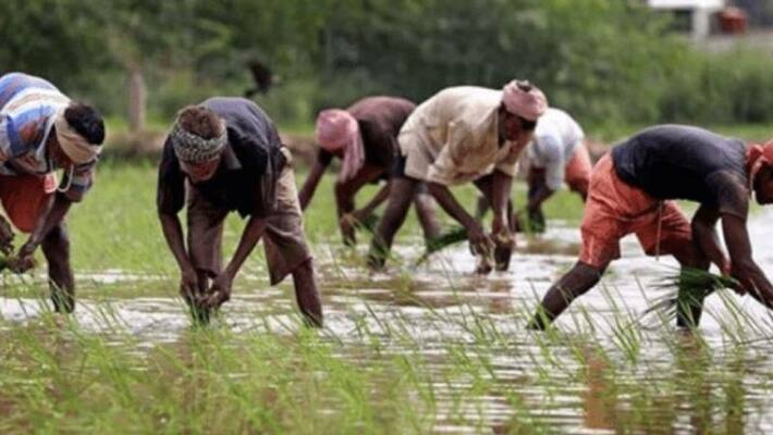 centre says no data on farmer suicide centre says no data on farmer suicide