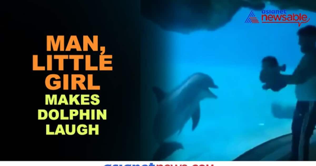 Man, little girl make dolphin laugh; video goes viral