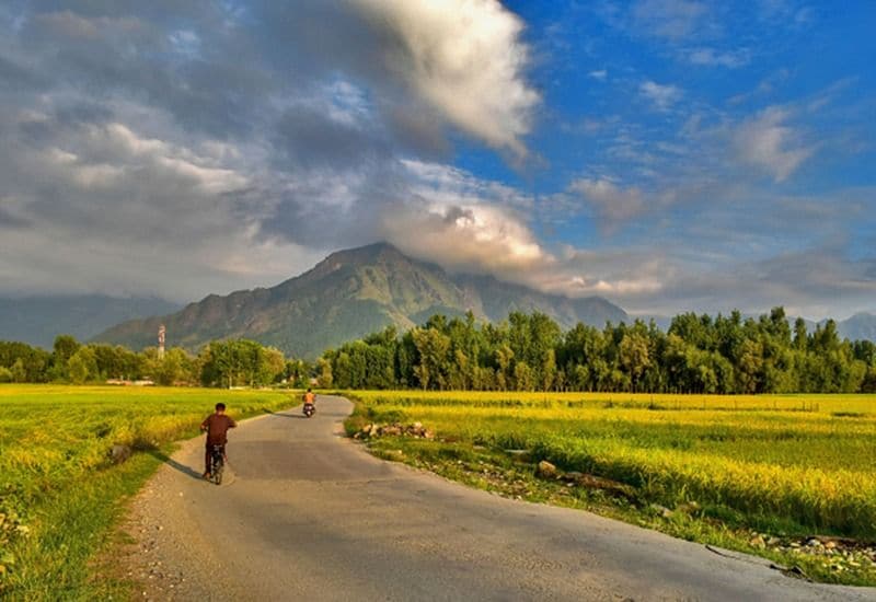 Only 19 Percent Indians willing to travel this festive season due to Covid-19 finds survey BSS