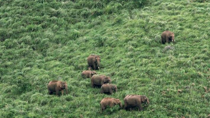 decision on protected area of silent valley national park decision on protected area of silent valley national park