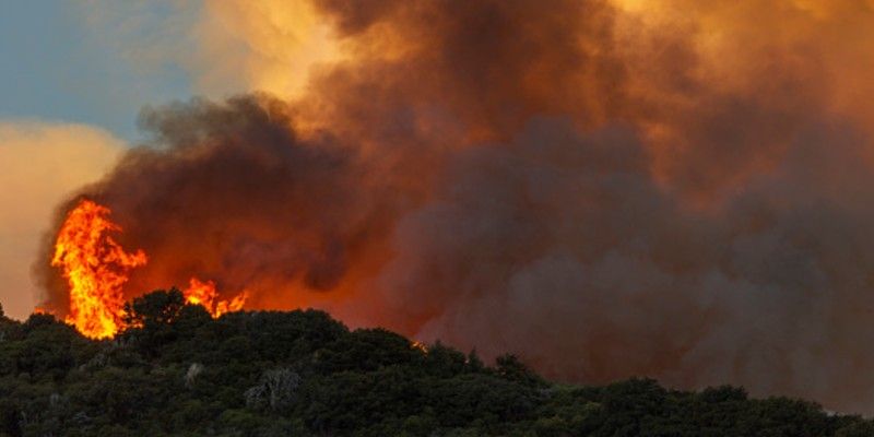 california wildfire was triaged explosive at a party burned 2 million acres area bsm