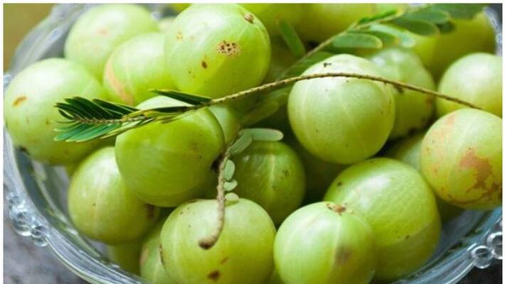 Gooseberry can be eaten during this covid time to boost the immune system Gooseberry can be eaten during this covid time to boost the immune system