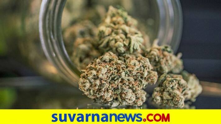 UN commission reclassifies cannabis no longer considered risky narcotic pod UN commission reclassifies cannabis no longer considered risky narcotic pod
