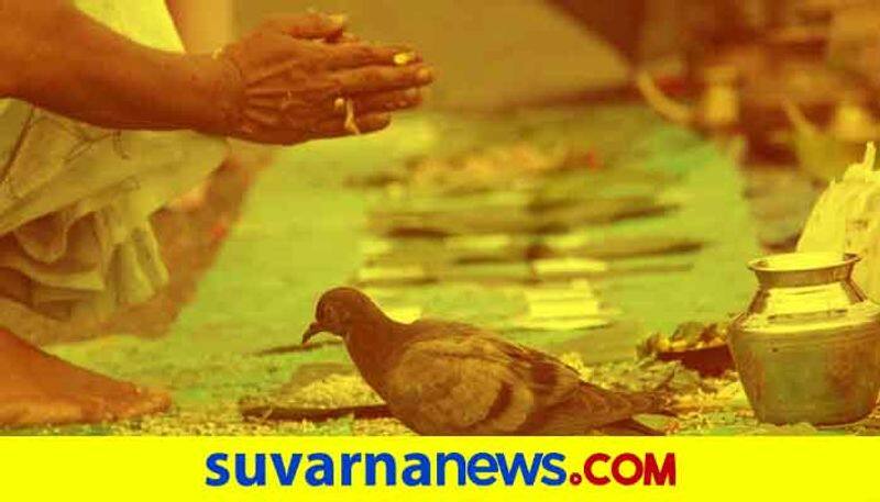 Know How give Tarpan during Mahalaya Amavasye Kannada