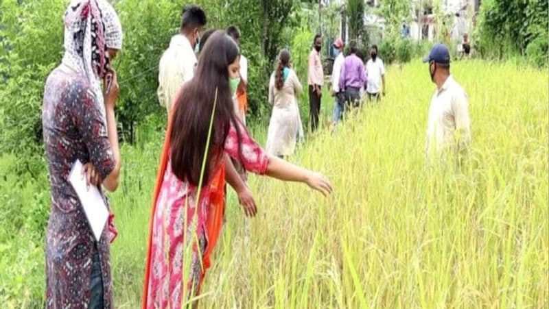 meet rudraprayag dm vandana singh her cultivating picture goes viral bsm