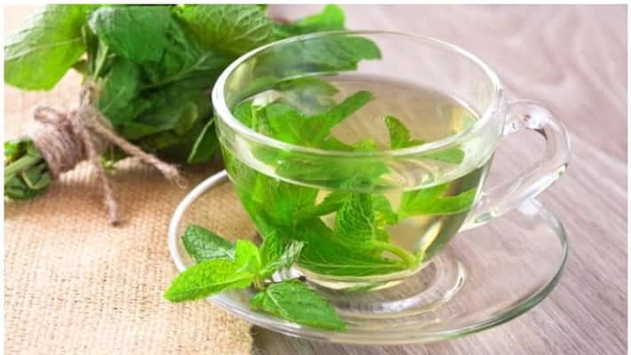 health Benefits of drinking mint water health Benefits of drinking mint water