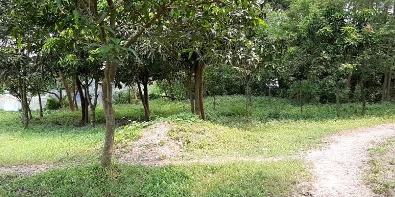 Hindu bramin donates land for muslims cemetry in Burdwan BTG