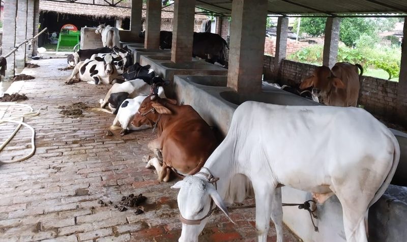 ब्रजेश कुमार ने कहा कि चार दिन पहले उन्हें पता चला कि बेगूसराय से चार किसान ब्रजेश कुमार गढ़पुरा, राजनारायण सिंह केसाबे, पिंकी देवी अंबा व ललिता देवी नावकोठी का चयन प्रधानमंत्री से बातचीत के लिए हुआ है। लेकिन आज सुबह उन्हें जानकारी मिली कि प्रधानमंत्री उनसे बात करेंगे।
