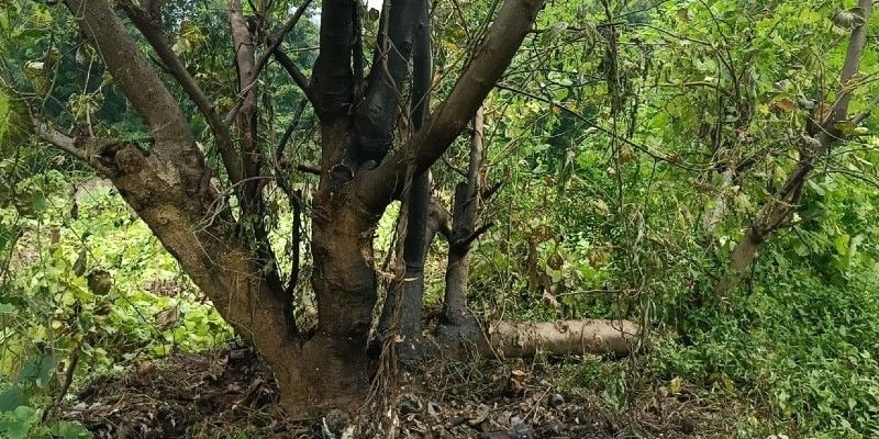 Blast like sound creates panic in Durgapur BTG