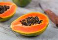 How papaya can be beneicial in more ways than one in our daily lives