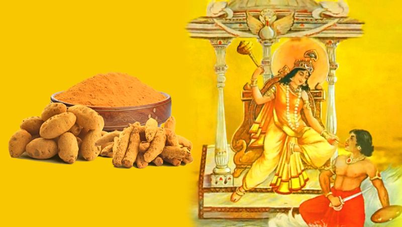 4. दुश्मनों से परेशान हैं तो माता बगलामुखी को साबूत हल्दी चढ़ाने से आपकी समस्या का समाधान हो सकता है।