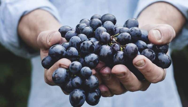 Eat black raisins everyday and get healthy life