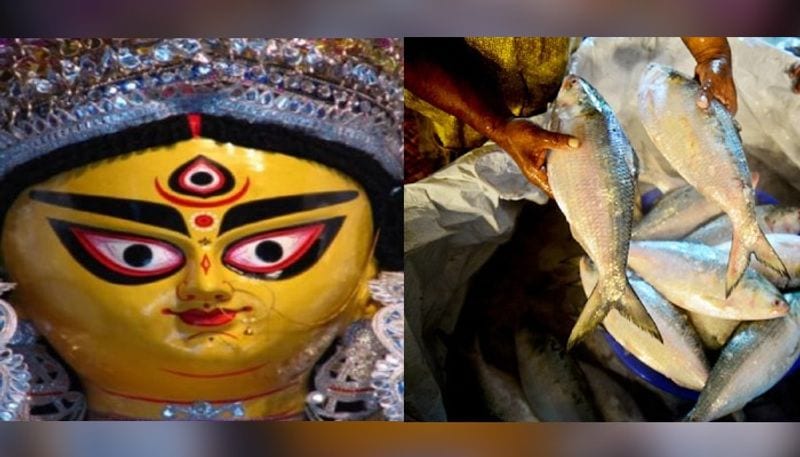 20 ton of Bangladesh Padma Hilsa hit Kolkata markets after 8 years RTB