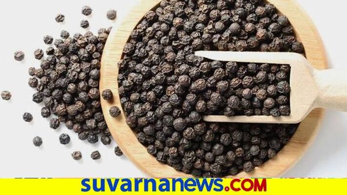 Pepper is The bumper Crop For farmers Pepper is The bumper Crop For farmers