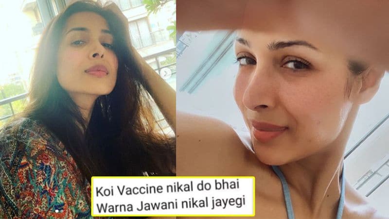 मलाइका ने अपनी इंस्टाग्राम स्टोरी पर कोरोना को लेकर फिक्र जताते हुए लिखा- 'कोई वैक्सीन बना दो भाई, नहीं तो जवानी निकल जाएगी।' मलाइका की इस पोस्ट से अंदाजा लगाया जा सकता है कि वो सेल्फ आइसोलेशन से काफी तंग आ चुकी हैं। 