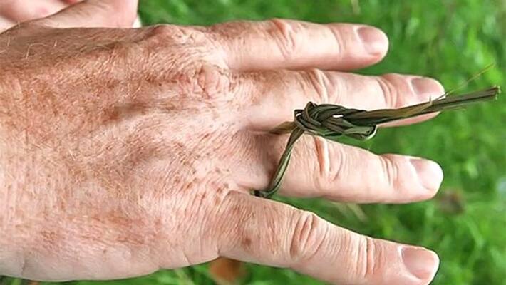 A special kind of ring is worn in ring finger while doing pind daan, know the reason and importance of it KPI A special kind of ring is worn in ring finger while doing pind daan, know the reason and importance of it KPI