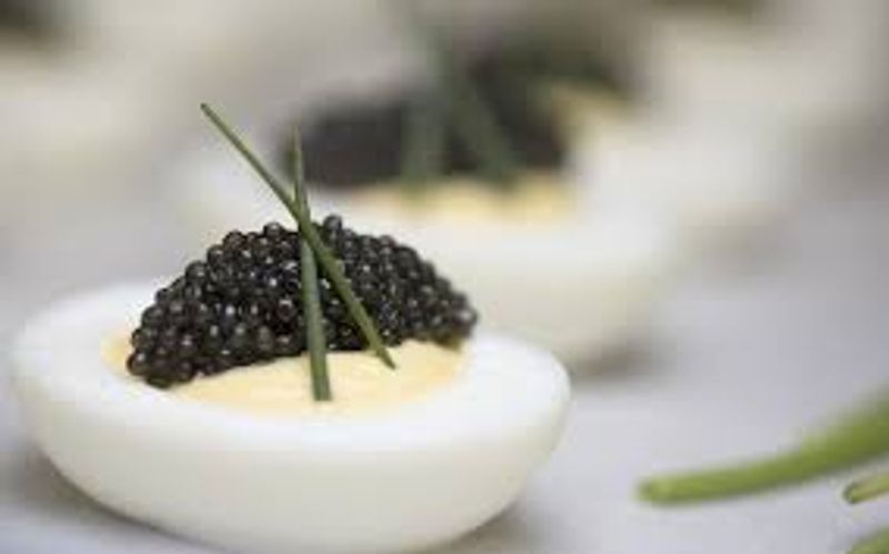 Move on from hen eggs: Different types of edible eggs that are nutritious and tasty-dnm