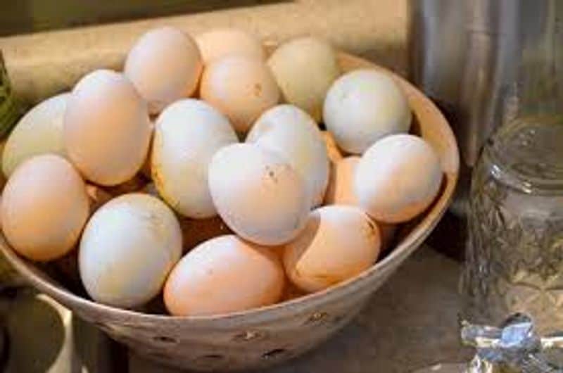 Move on from hen eggs: Different types of edible eggs that are nutritious and tasty-dnm