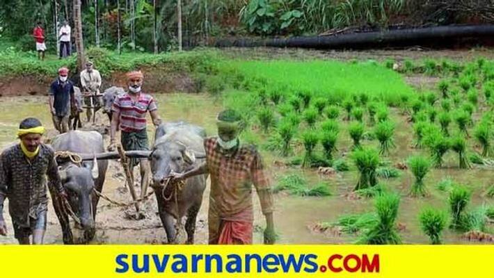 Karnataka Farmers To get interest Free Loan Ram Karnataka Farmers To get interest Free Loan Ram