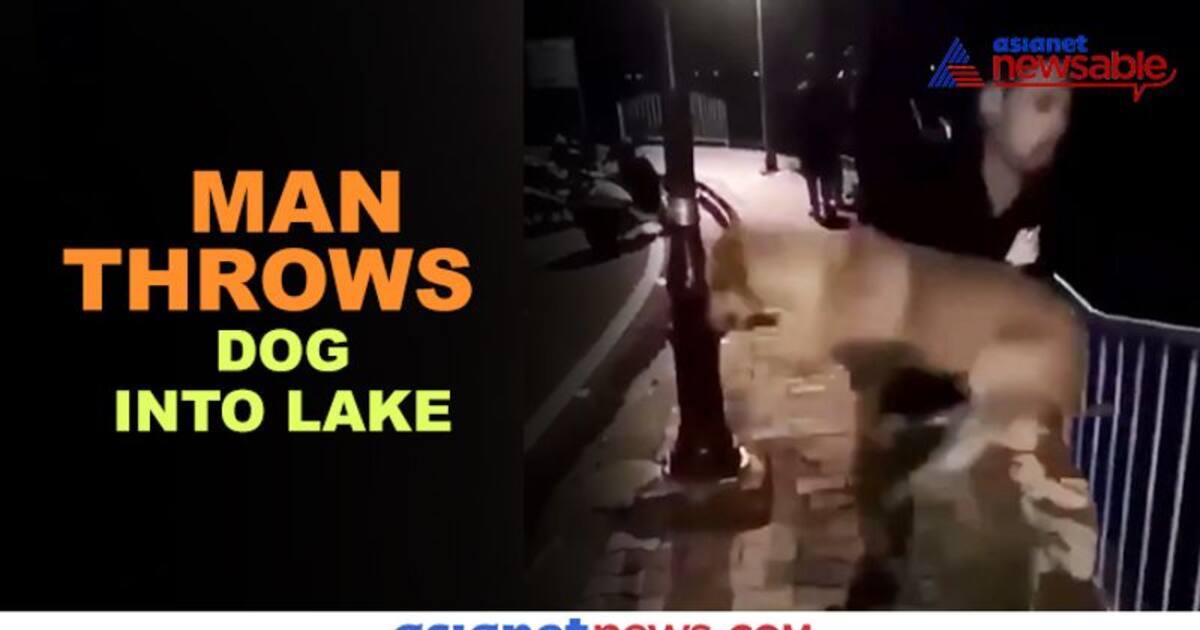 Man throws dog into lake; viral video triggers outrage