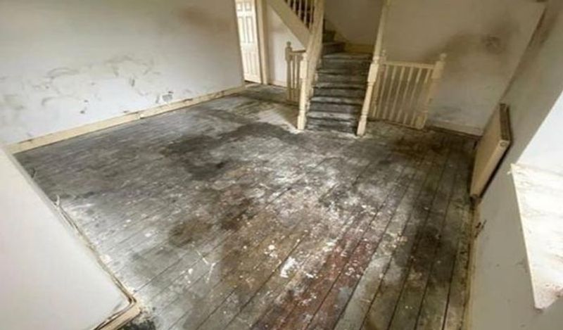 worlds worst tenants spreading pee in beer bottles inside dirtiest house before leaving kph