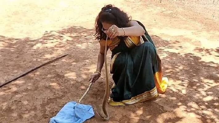 Snake Rescue In A Saree Viral Video Snake Rescue In A Saree Viral Video