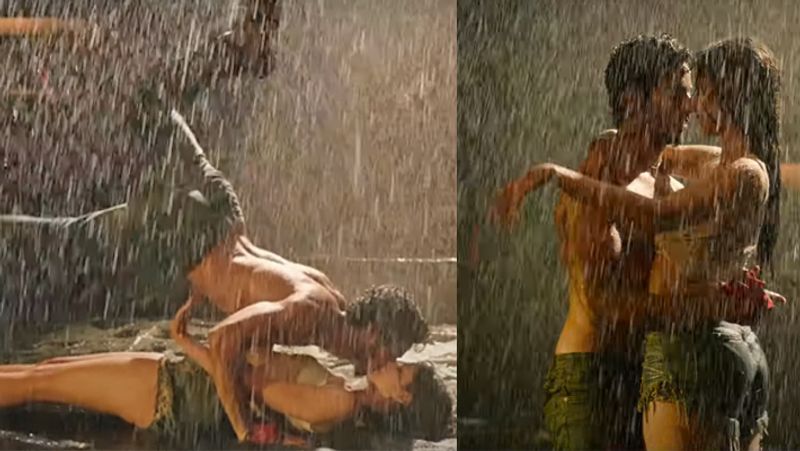 Ananya Panday was seen romancing in the rain with Shahid Kapoor brother gets dislike BJC