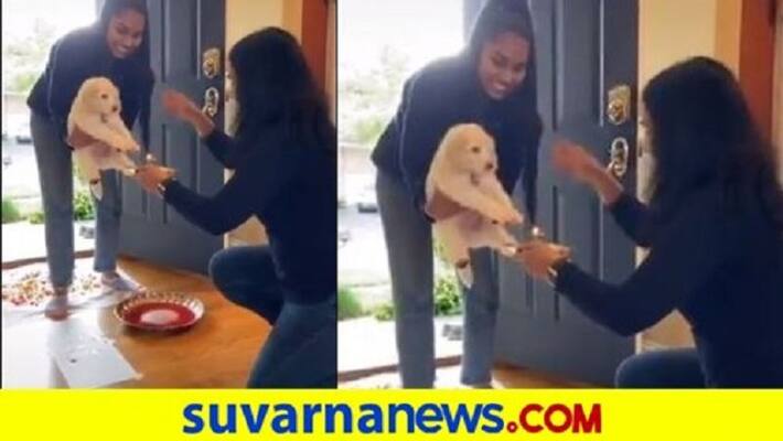 Family welcomes new pup with aarti traditional way viral video mh Family welcomes new pup with aarti traditional way viral video mh