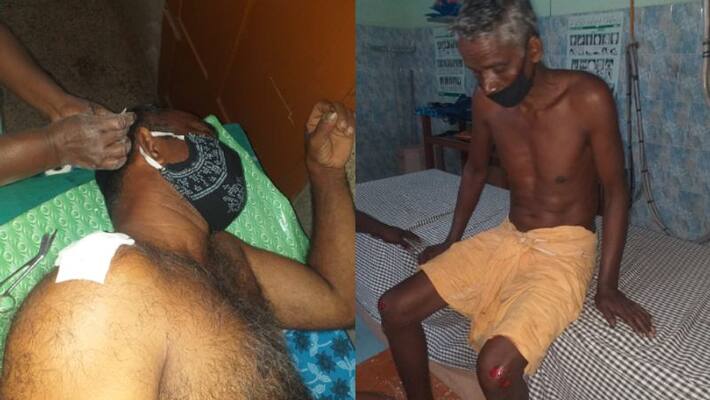 wild boar attack alappuzha charummoodu wild boar attack alappuzha charummoodu