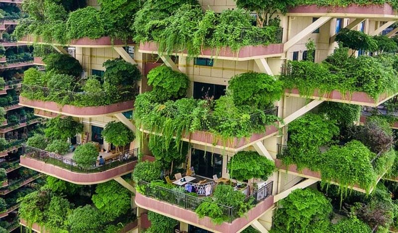 china grew forest in housing project in new experiment fails after mosquitos spread plagues diseases kph
