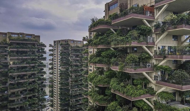 china grew forest in housing project in new experiment fails after mosquitos spread plagues diseases kph